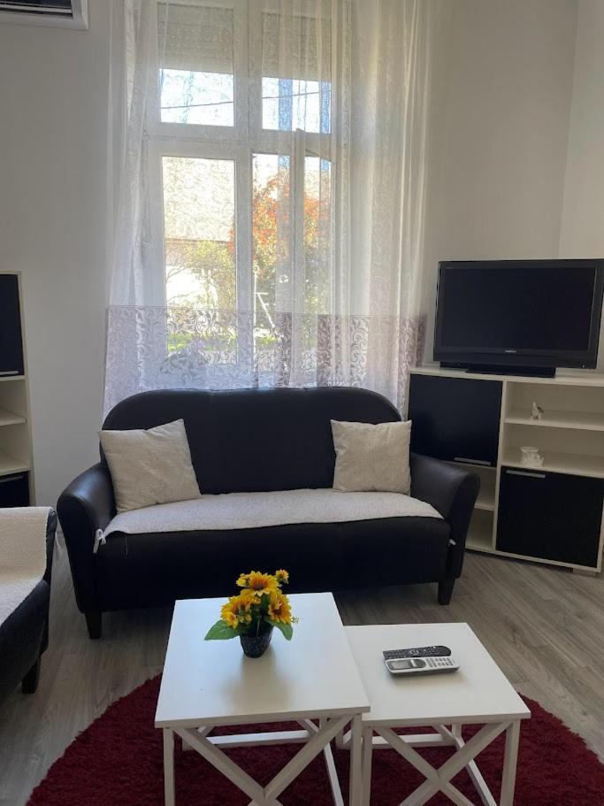 Apartment Milijana سوبوتيتْسا المظهر الخارجي الصورة