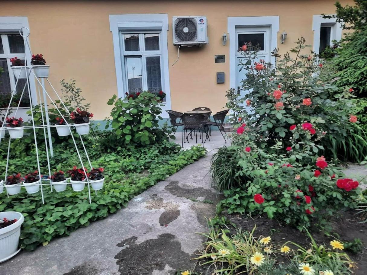 Apartment Milijana سوبوتيتْسا المظهر الخارجي الصورة